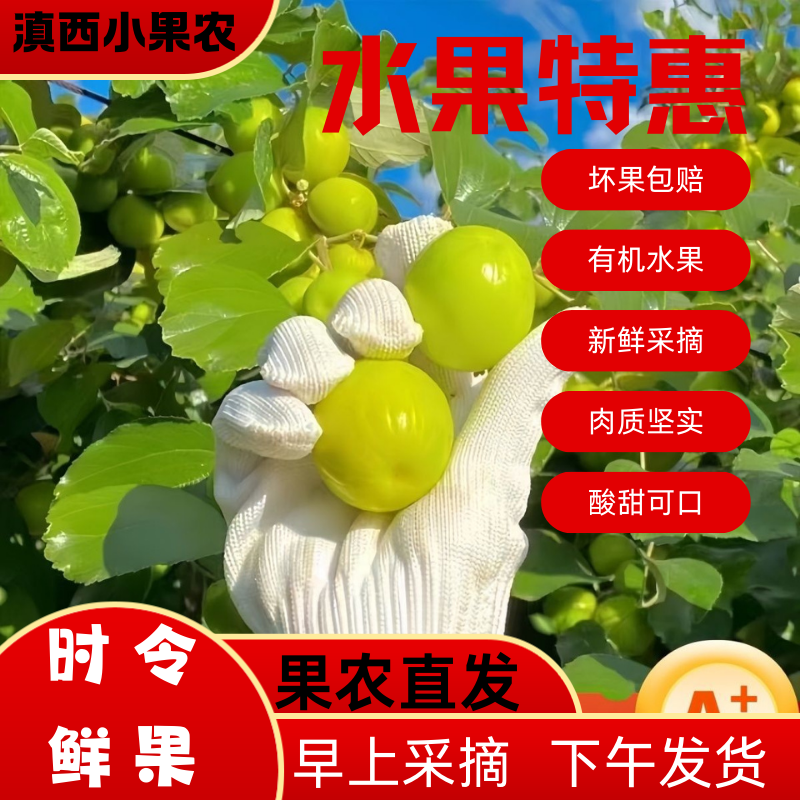 【现采现发】云南保山新鲜酸麻阔果酸脆枣嫁接青枣原树新鲜酸枣鲜果