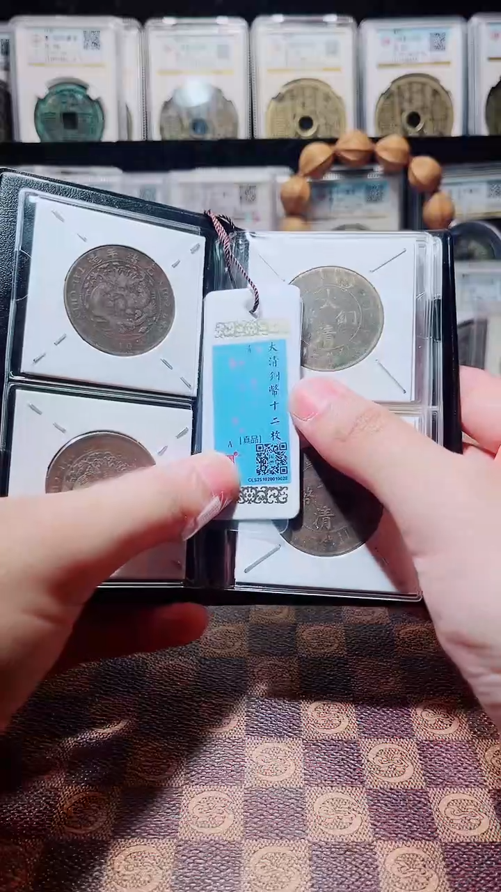 铜A712精品大清铜币贰拾文十二枚册(斐鹏)