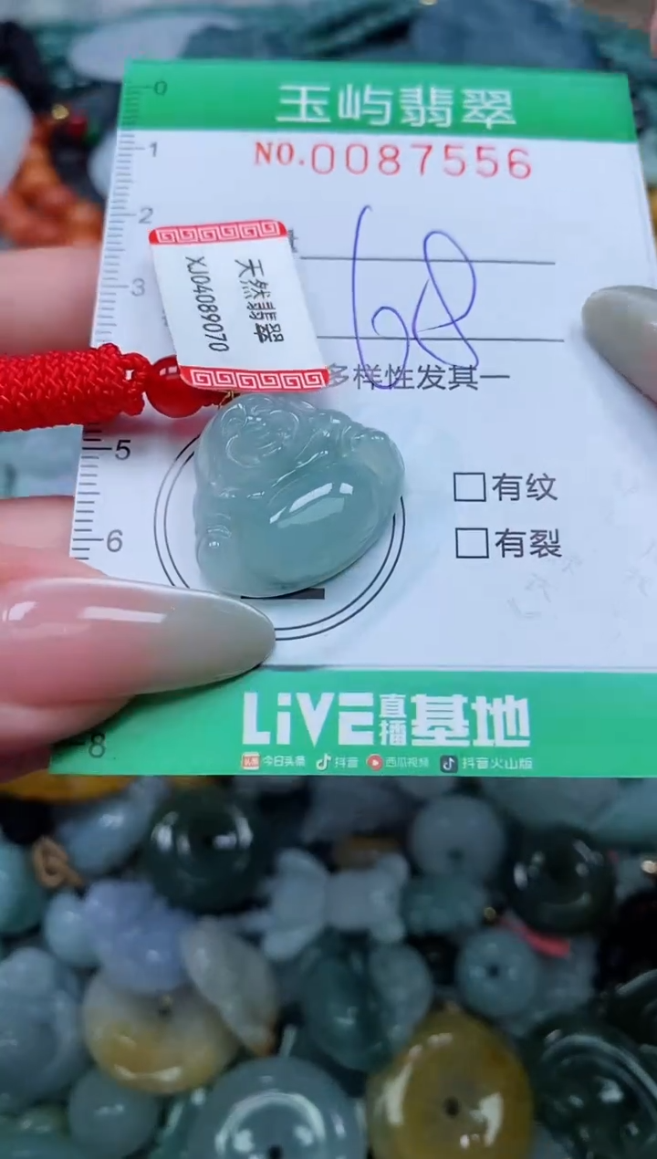 【闪购商品】翡翠颈饰未镶嵌闪购0087556