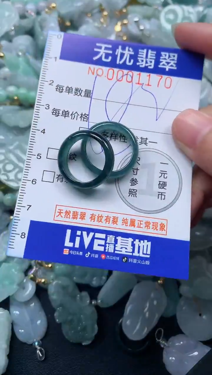 颈饰未镶嵌翡翠1170
