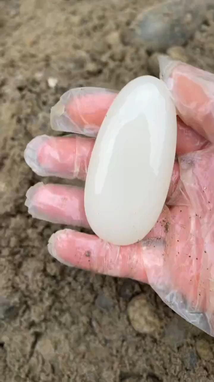 颈饰未镶嵌和田玉（糖玉）001