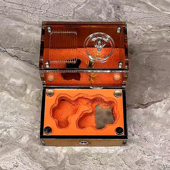 小庭苑 蚂蚁城堡 单水塔 宠物蚂蚁后繁殖生态工坊蚁巢学校科普