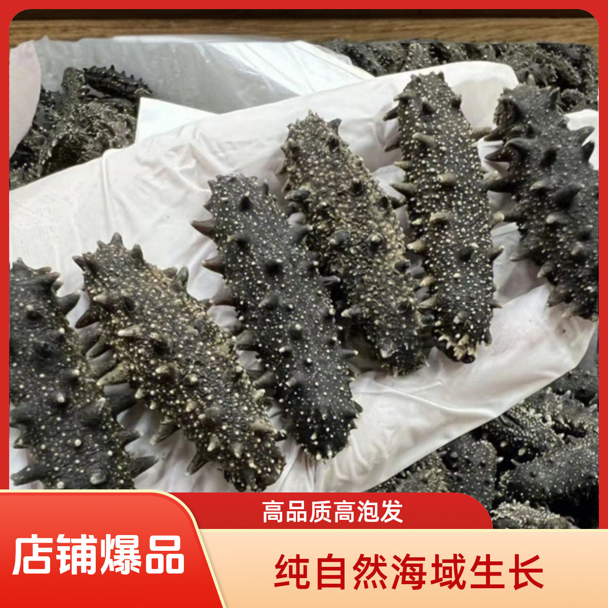 【高品质】国标干海参500g一斤装海参源头工厂滋补品高营养送礼