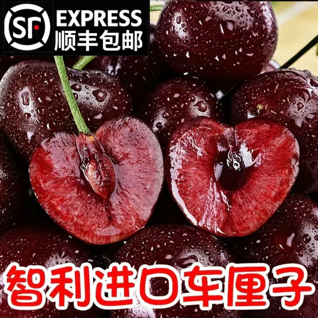 【五斤原箱明天到】4JD果王桑提娜智利进口车厘子内附果径卡海运桑提娜樱桃智利共和国