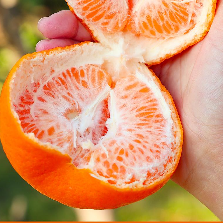 正宗柑橘子四川粑粑柑新鲜水果春见粑粑柑现摘包邮