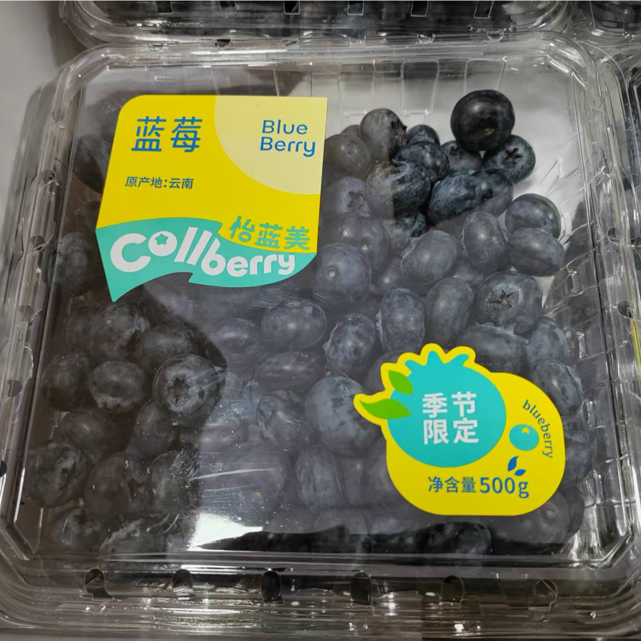 【次日达】新鲜蓝莓季节限定云南省