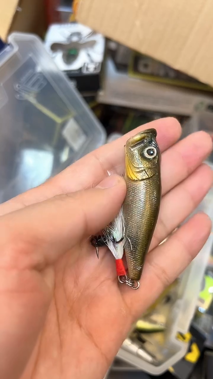 泳道路亚 闪购专拍