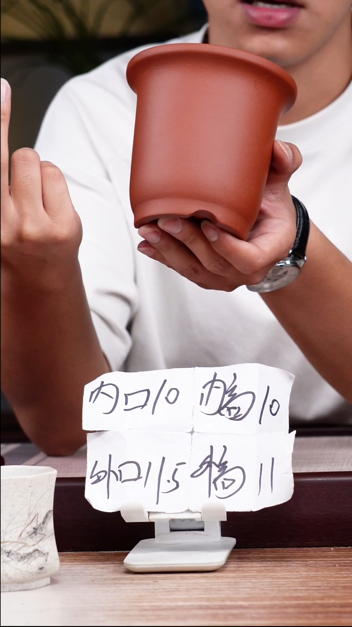 紫砂花盆新款清水泥素面迷你小金钟一只带托