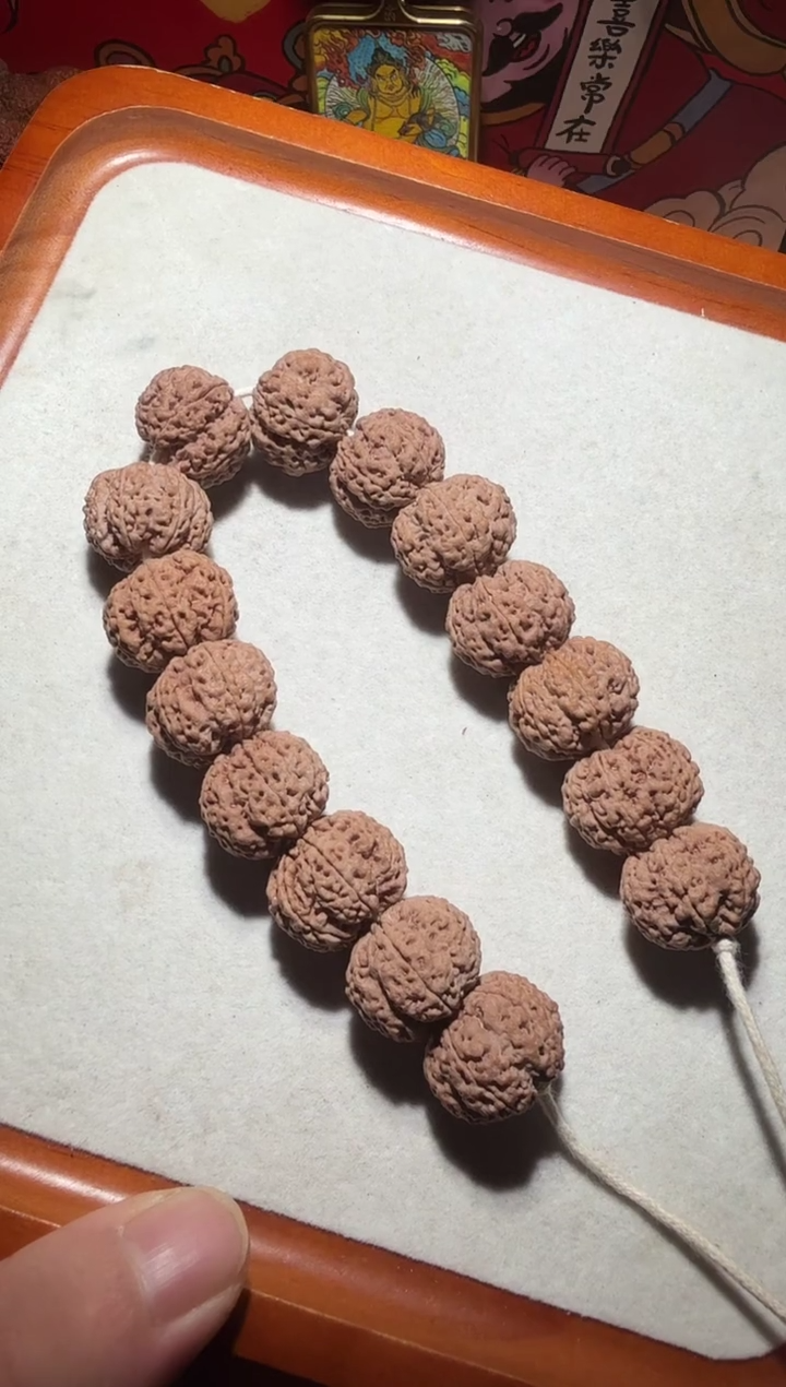 【闪购商品】金刚菩提手串定制级矮桩针孔粗筋六瓣21