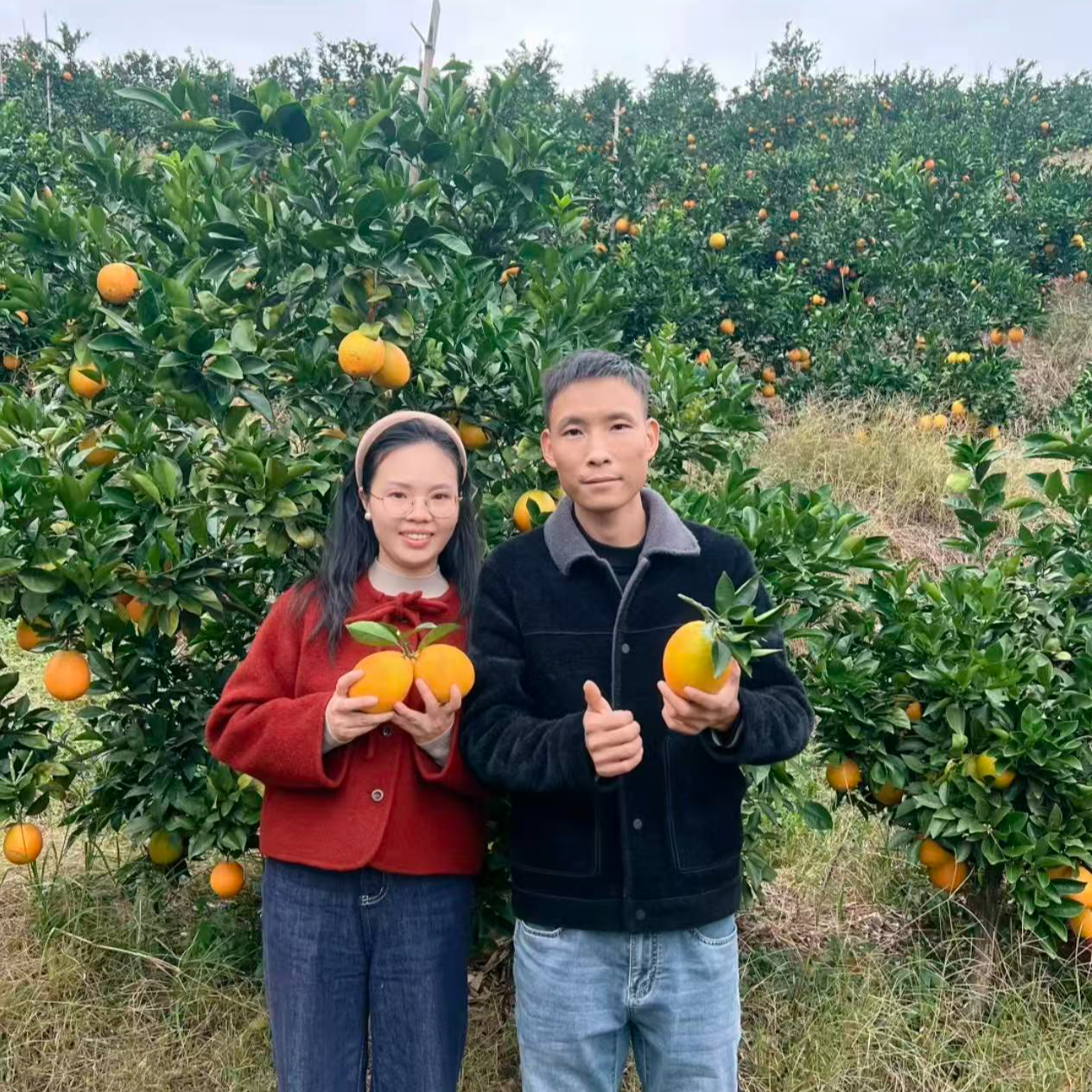 【顺丰京东】正宗赣南脐橙皮薄多汁橙香浓郁原产地直发