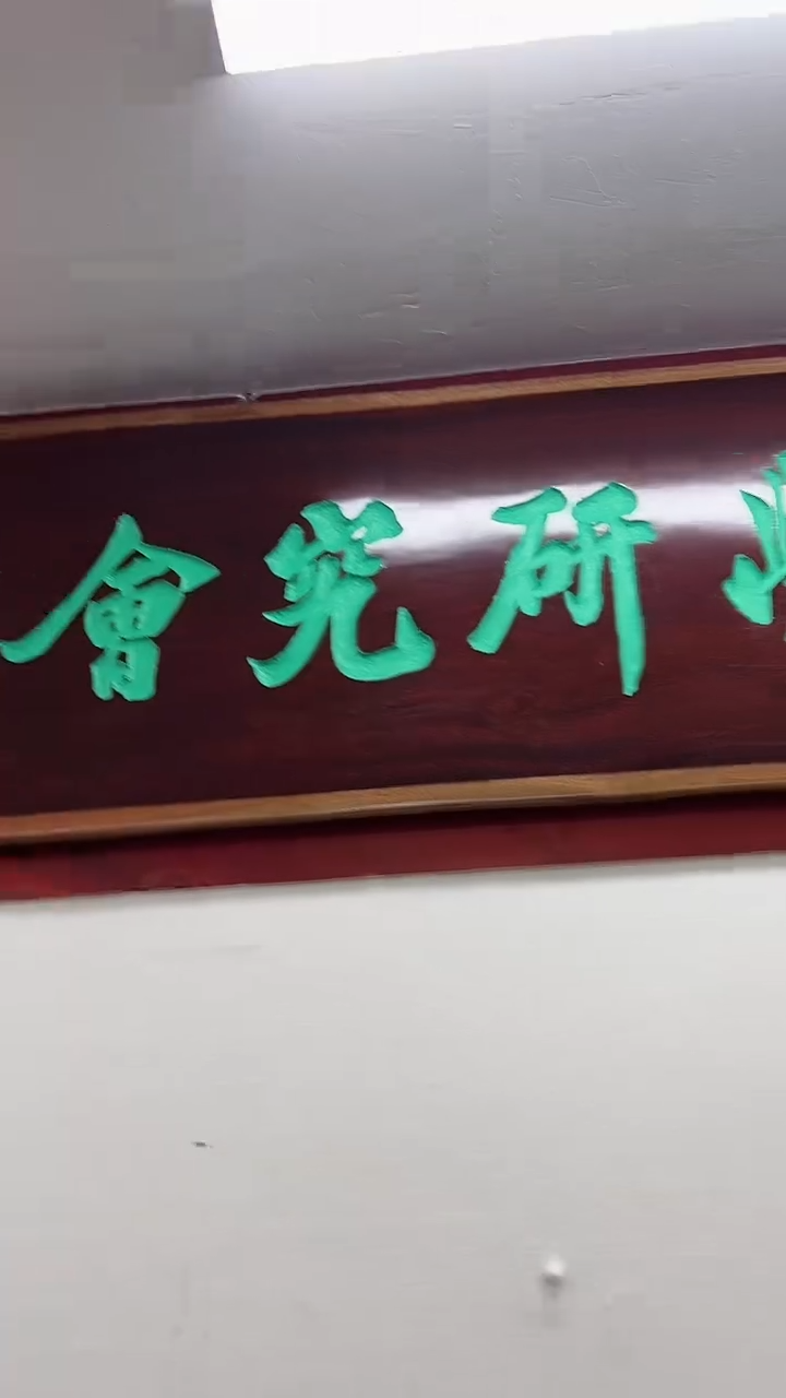 【闪购商品】书法张扬-二平尺国画作品
