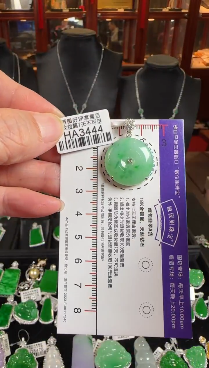 颈饰未镶嵌翡翠HA3444绿平安扣