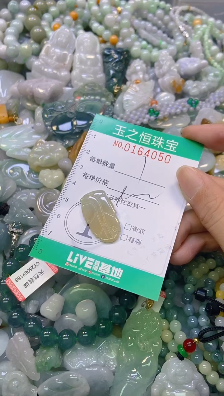 颈饰未镶嵌翡翠闪购0164050