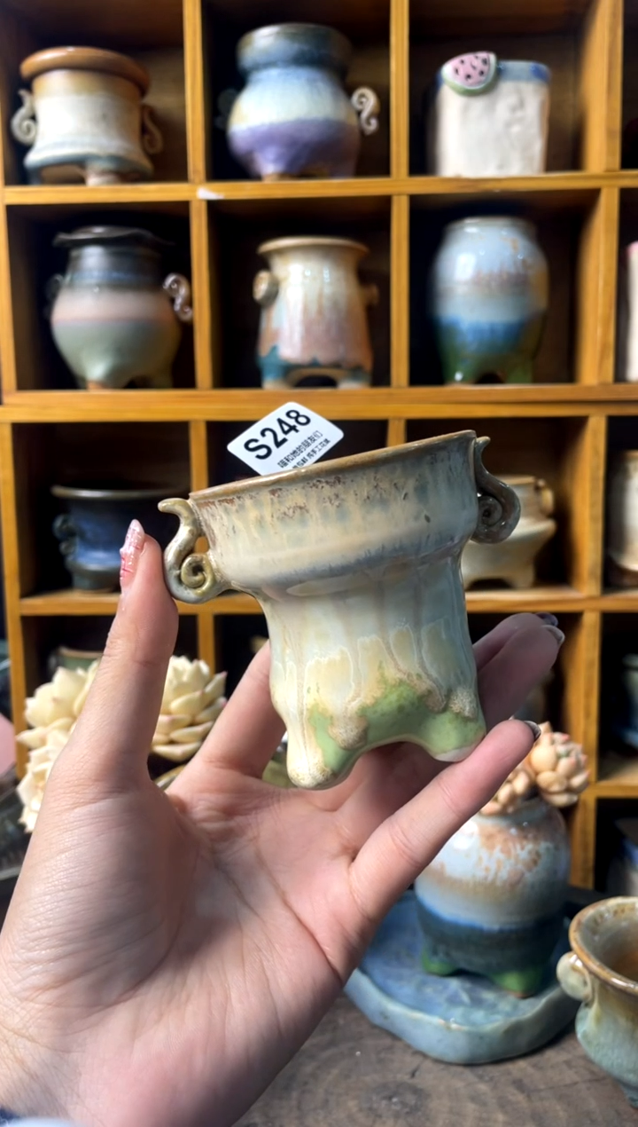 248内口6【多肉花盆多肉盆】