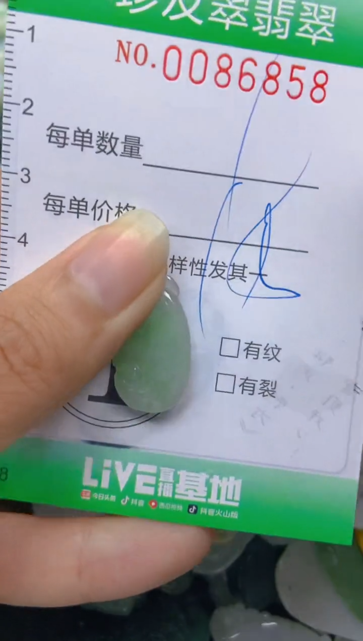 【闪购商品】翡翠颈饰未镶嵌闪购0086858