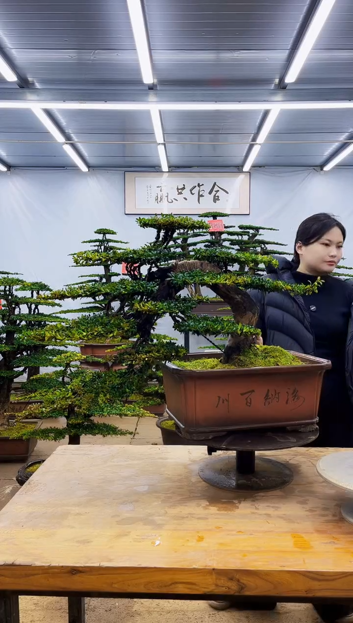 无花朵一物一拍·所见即所得