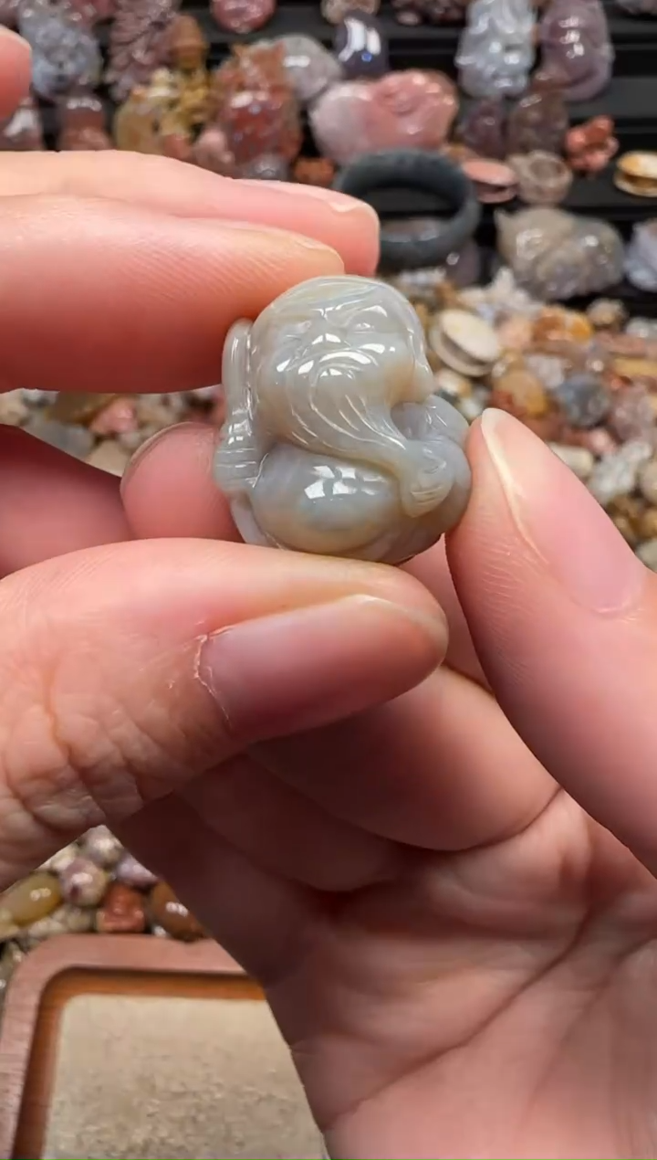 颈饰未镶嵌硅化珊瑚（珊瑚玉）499