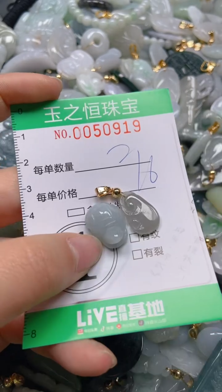 【闪购商品】翡翠颈饰未镶嵌闪购0050919