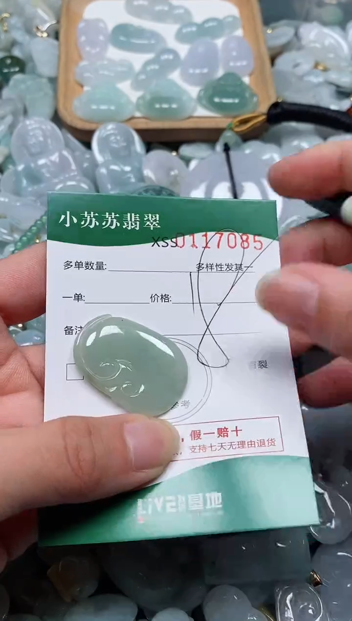 【闪购商品】翡翠颈饰未镶嵌闪购商品0117085