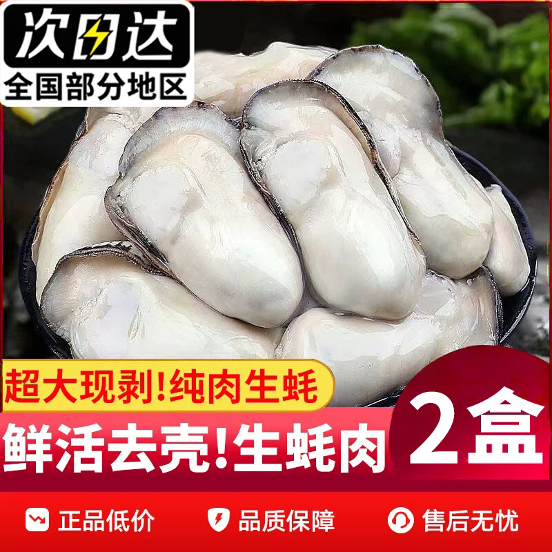 【生蚝肉买1送1】蚝朋满座现剥乳山生蚝特大号刺身顺丰生蚝乳山2斤