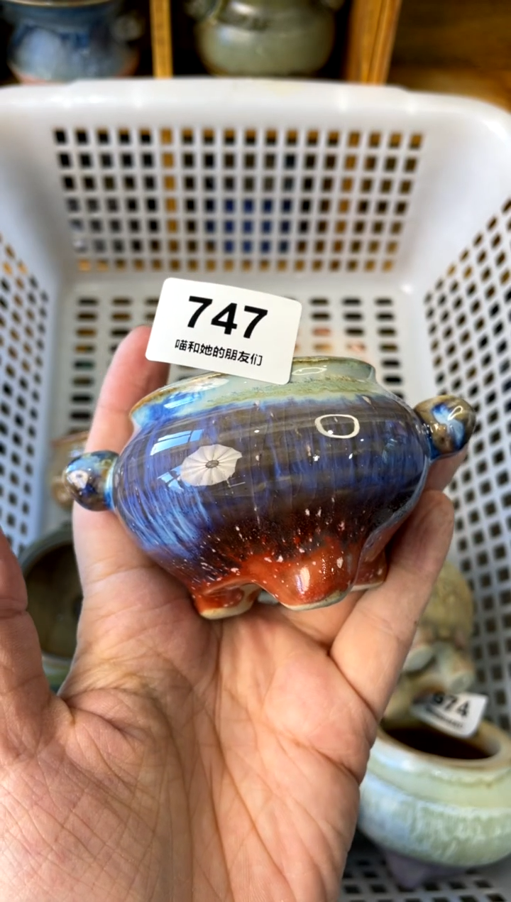 【闪购商品】陶747 内口5