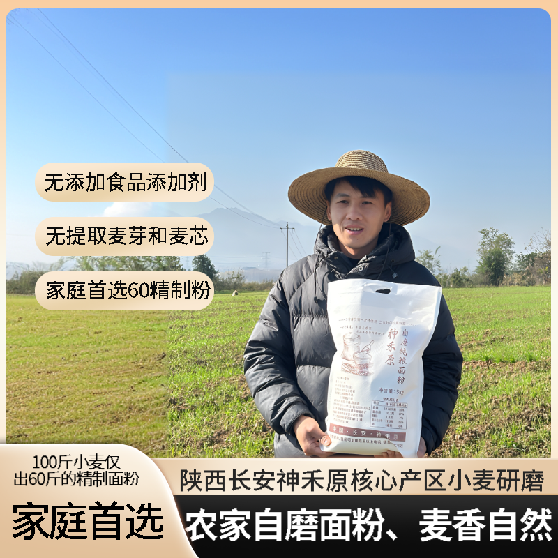 陕西自磨60精制面粉农家自磨面粉面食通用细腻老人孩子家庭首选