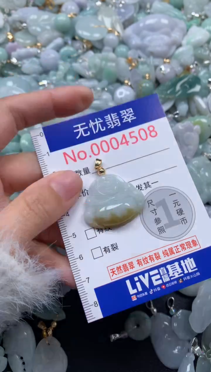 颈饰未镶嵌翡翠4508