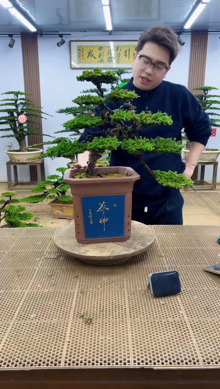 无花朵0000000000000