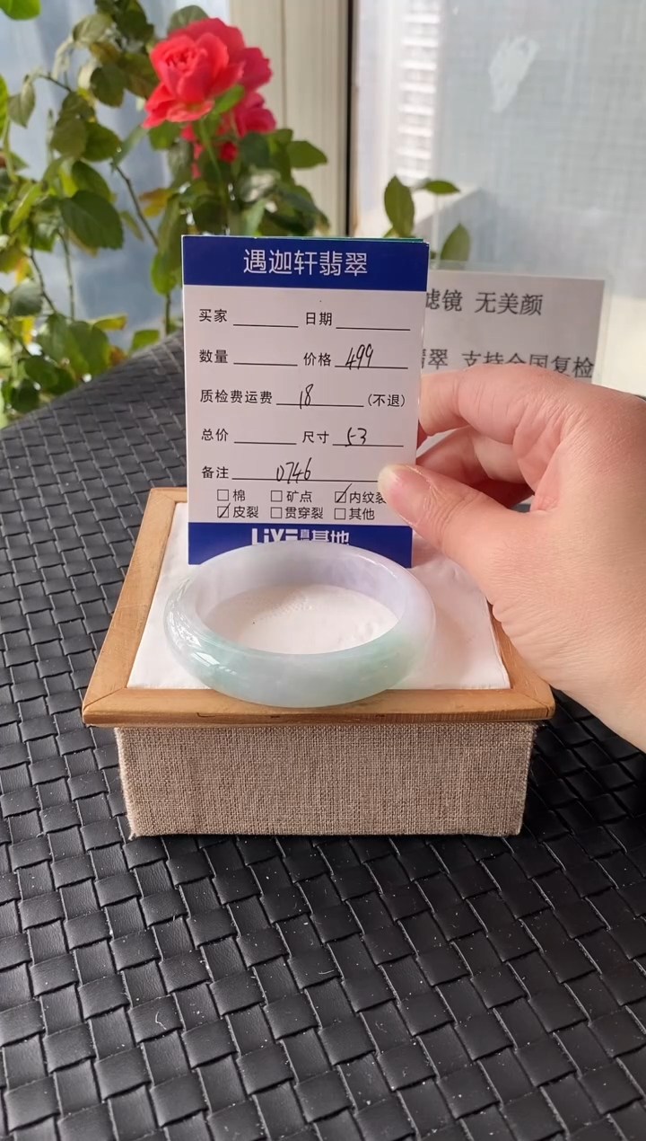 未镶嵌手镯翡翠53.5圈口 D746编码