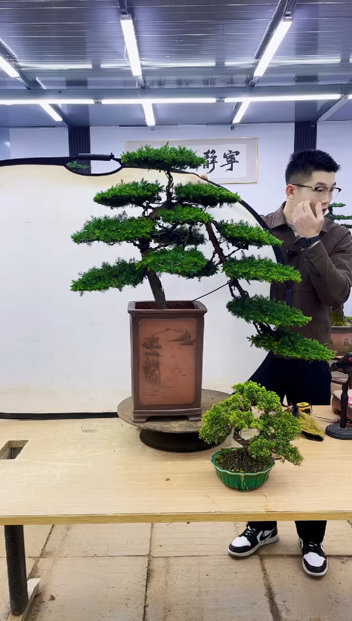 无花朵快***天0000000000000000000