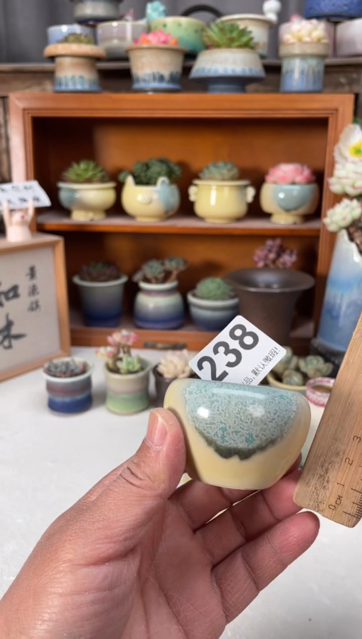 瓷片238小芳直播编号