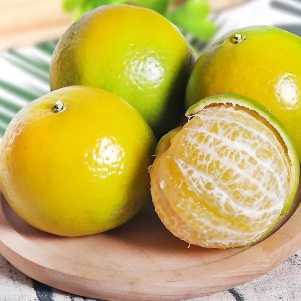 【振楠】广东皇帝柑当季新鲜水果贡柑清甜多汁皮薄 中通快递