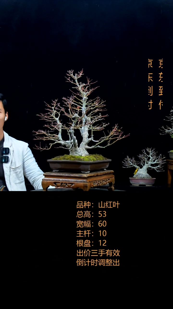 无花朵二*手00000000000000