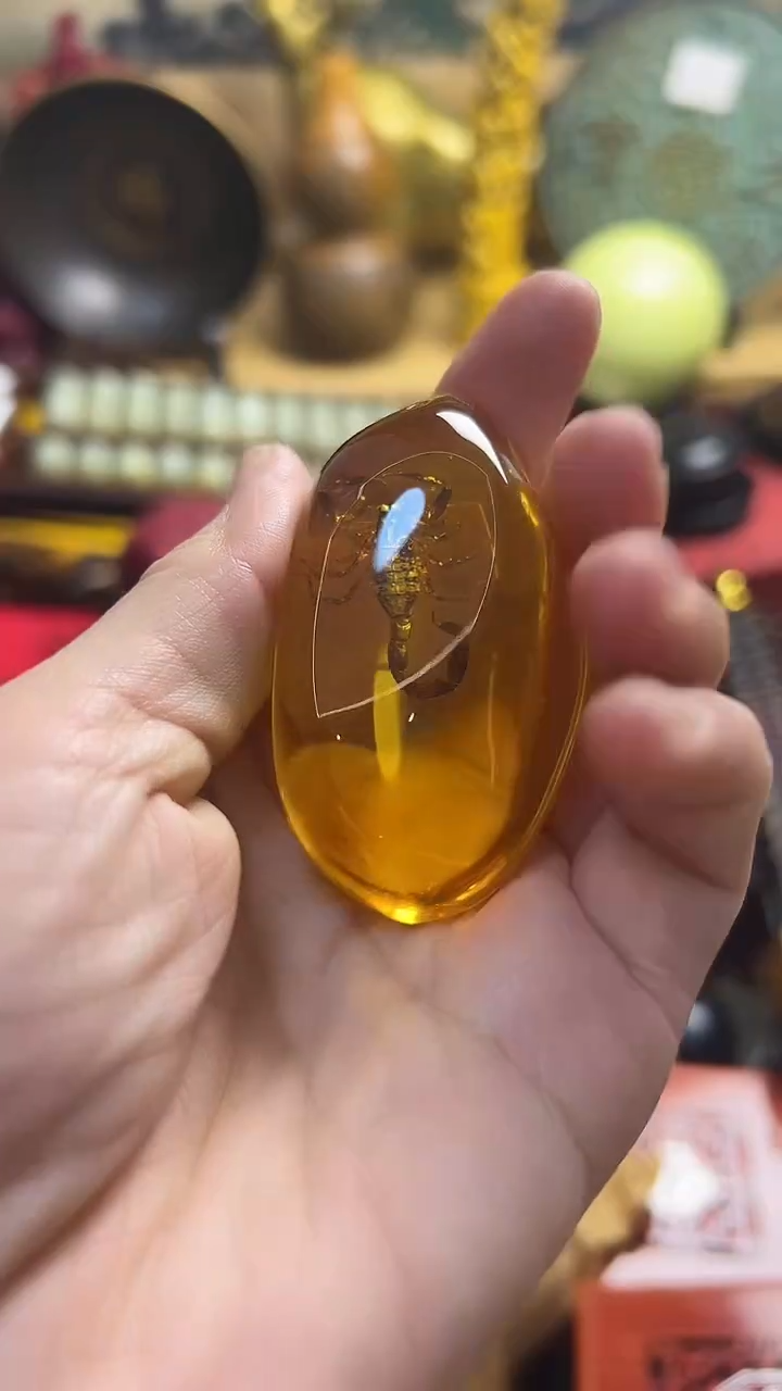 裸石琥珀未镶嵌主播推荐主播推荐
