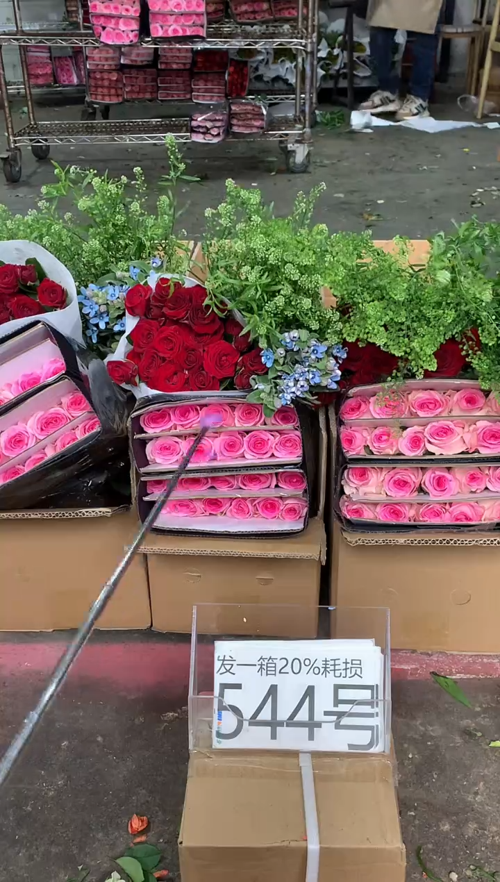 544号♥含20%耗损发一箱