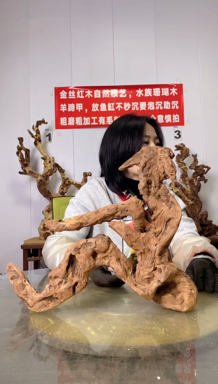 【闪购商品】木26金丝红木 羊蹄甲 