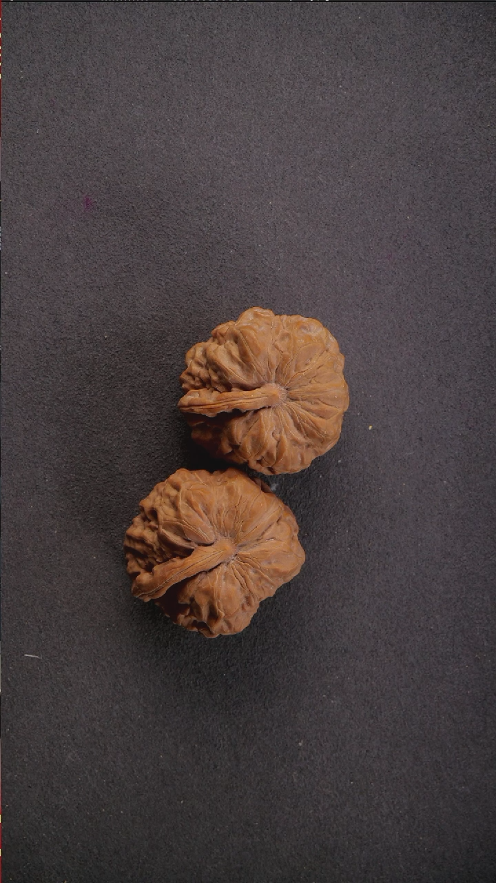 【闪购商品】桃核把件异性蛤蟆一帆风顺