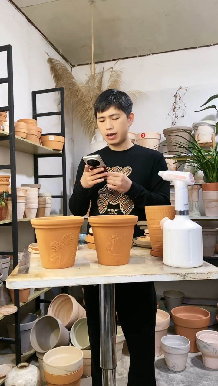 【闪购商品】陶16*15红陶龟背竹+仙人掌 2盆无托