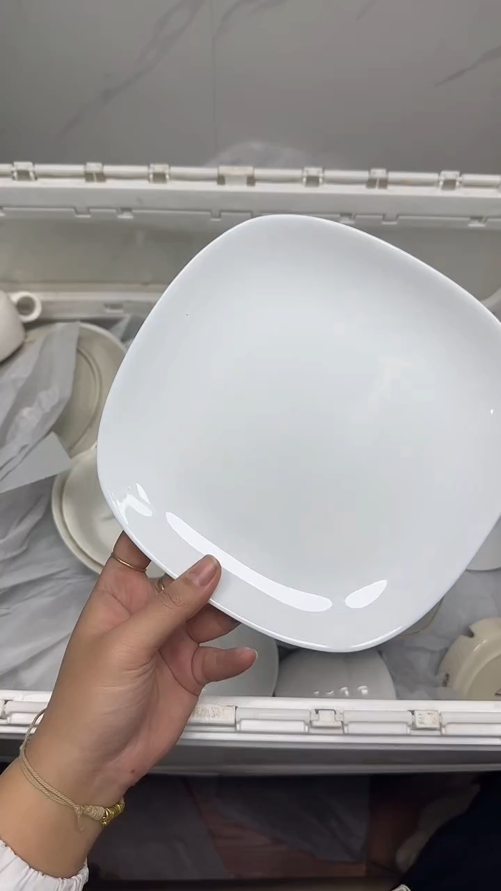 【闪购商品】372回流瓷器默认微瑕，18.8包邮1