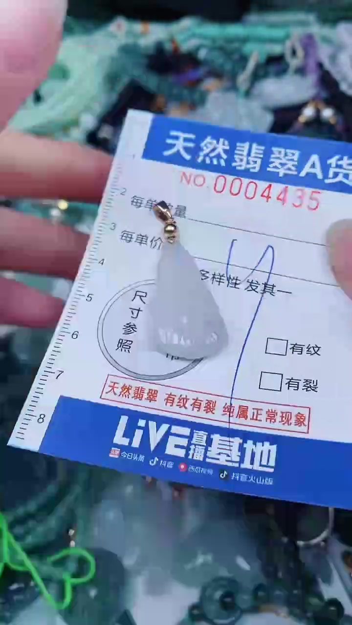 翡翠未镶嵌颈饰00004435