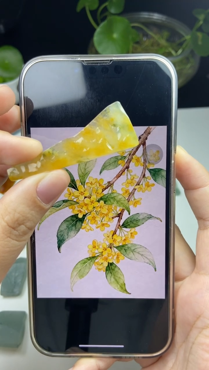 未镶嵌定制翡翠翡翠片料定制未镶嵌12.5-5包工包料