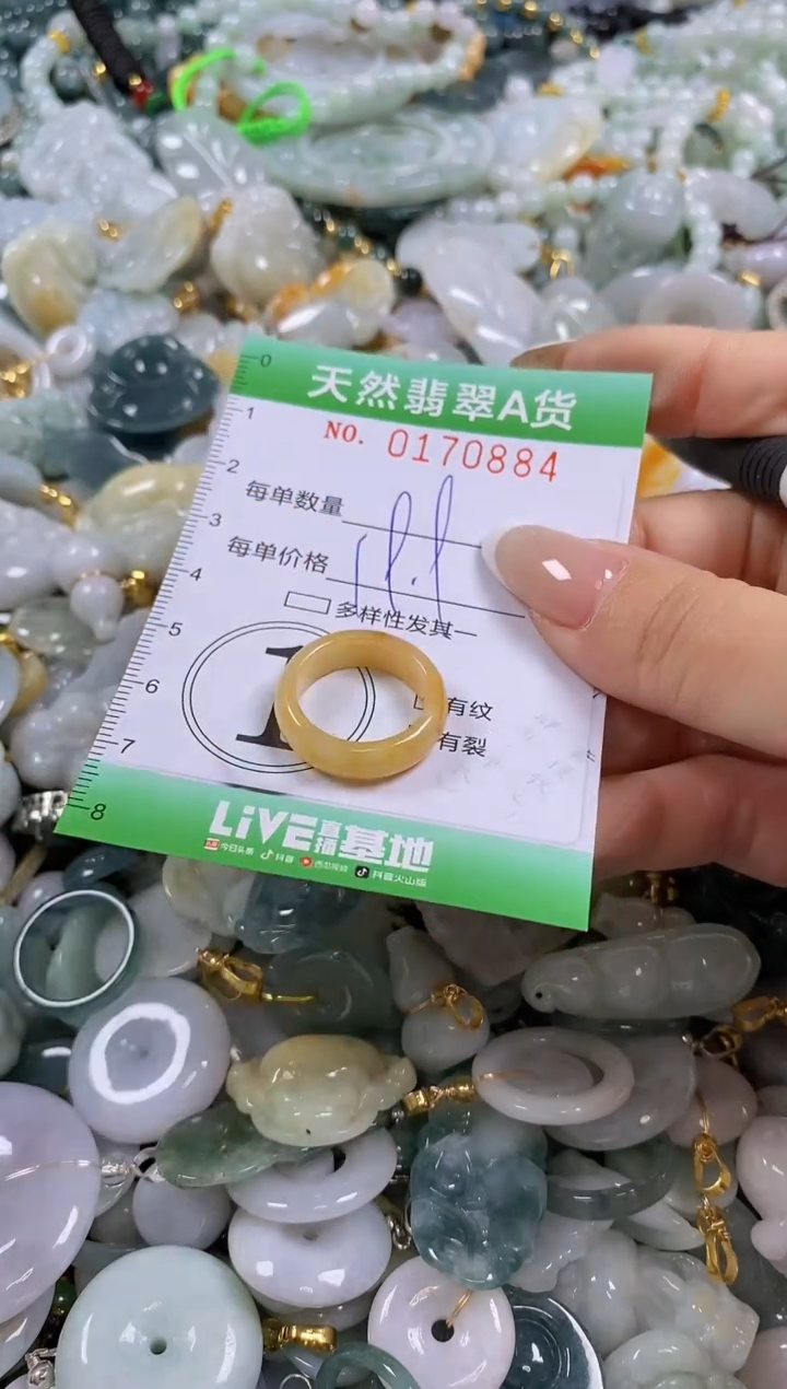 翡翠未镶嵌颈饰闪购0170884