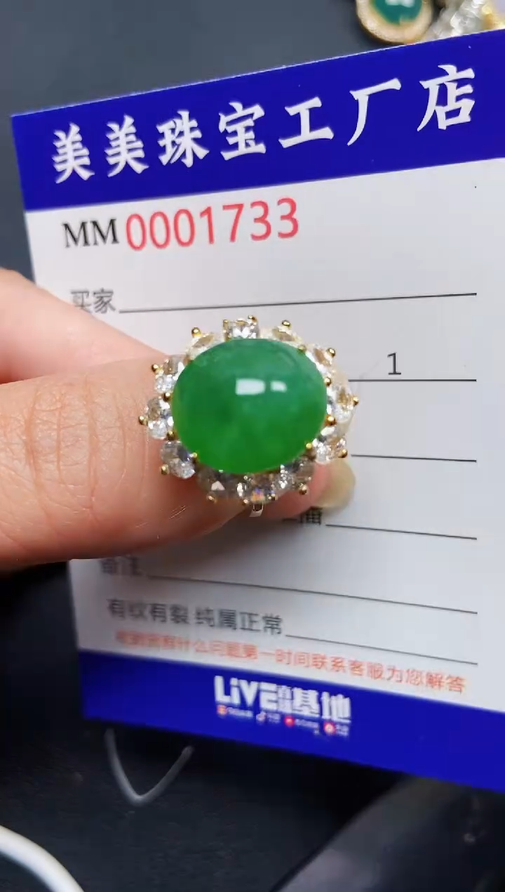 翡翠银S925镶嵌颈饰1733