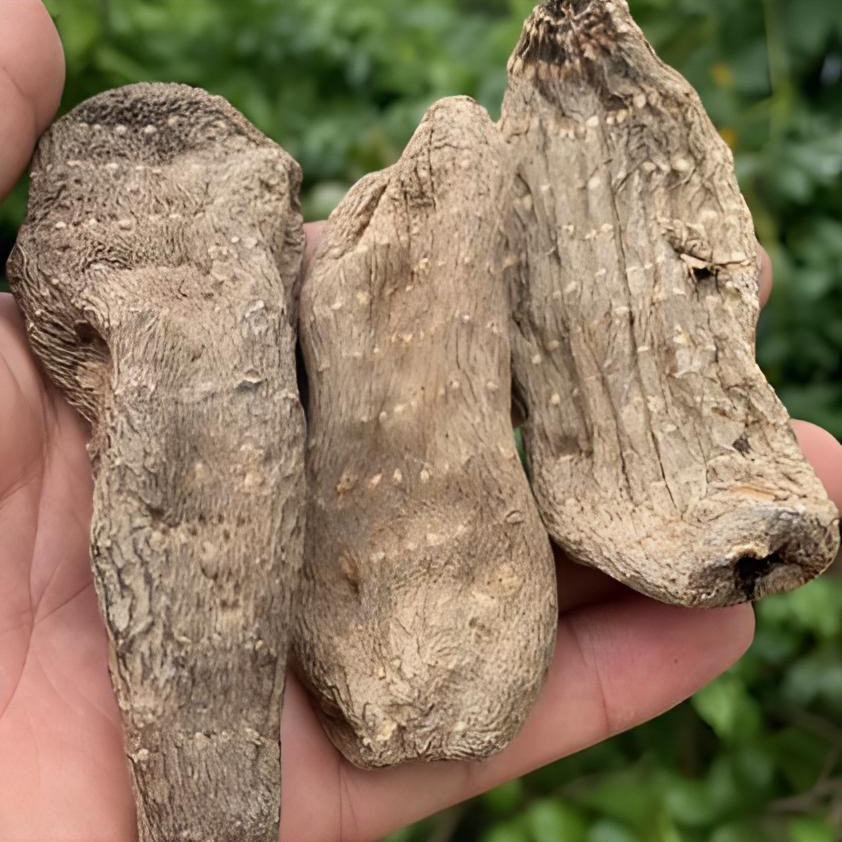 野生乌天麻滋补营养煲汤必备干货