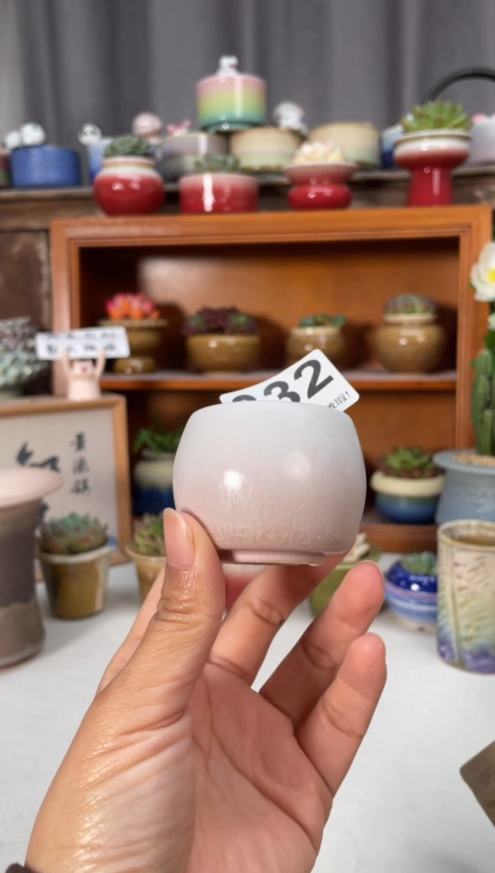 瓷片332知木小芳花盆编号