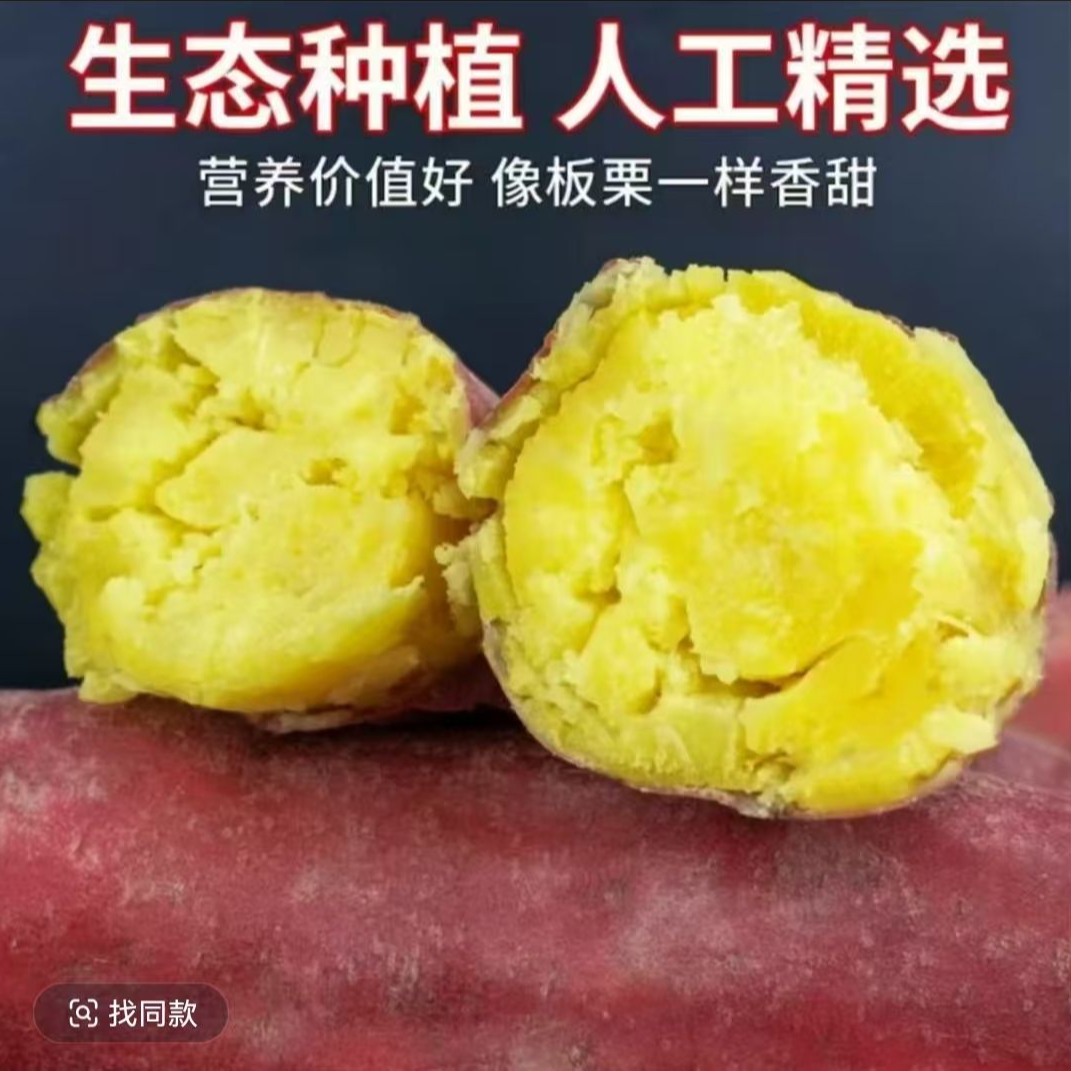 [坏果包赔]正宗板栗红薯现采现发粉糯香甜产地直发