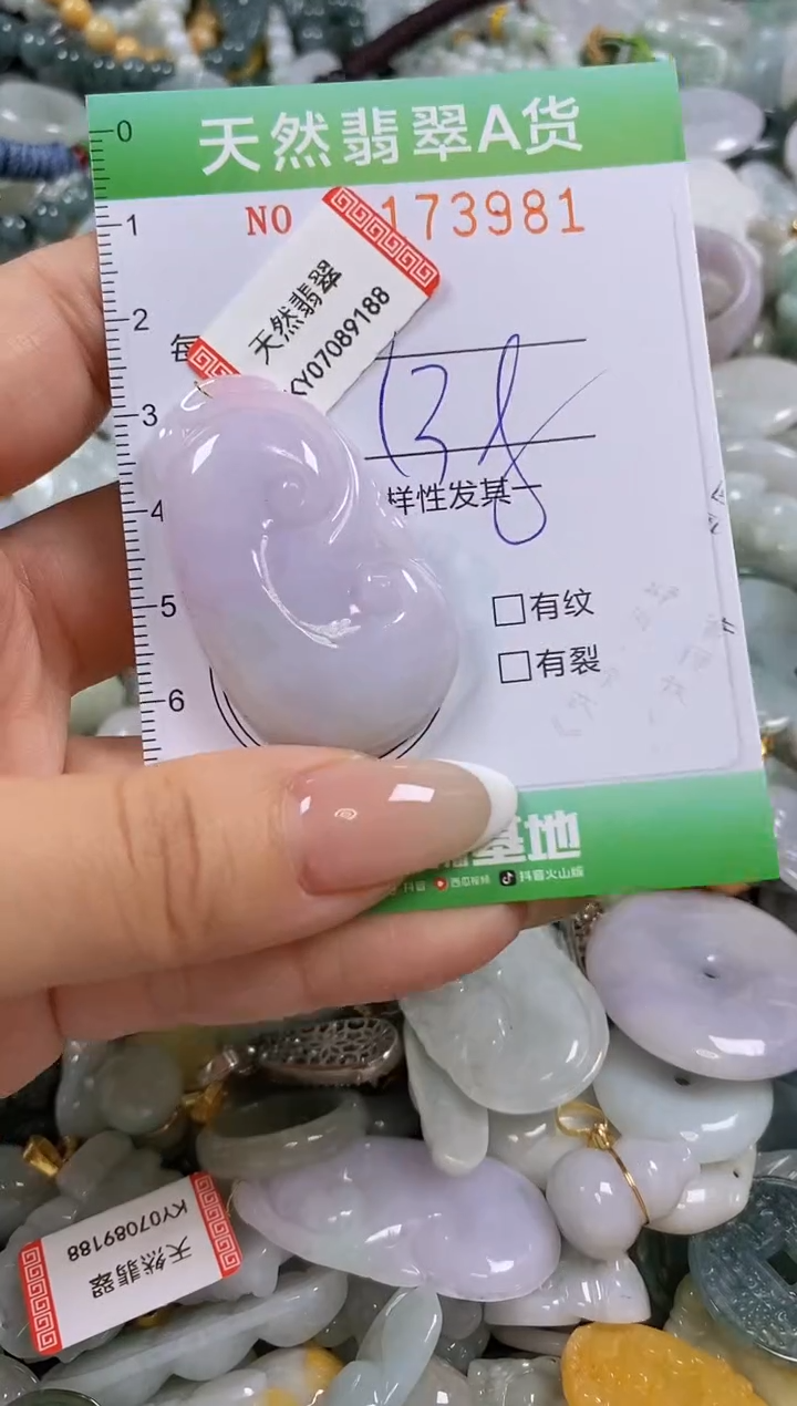 翡翠未镶嵌颈饰闪购0173981