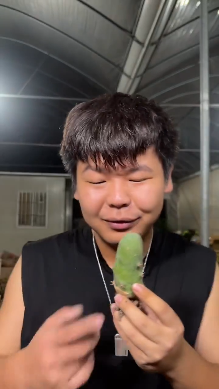 【带根】单头 程程柱