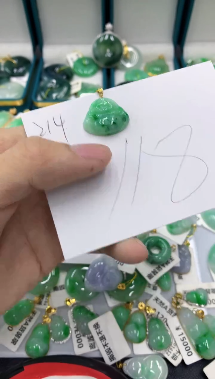 【闪购商品】翡翠颈饰18K金镶嵌11111111111