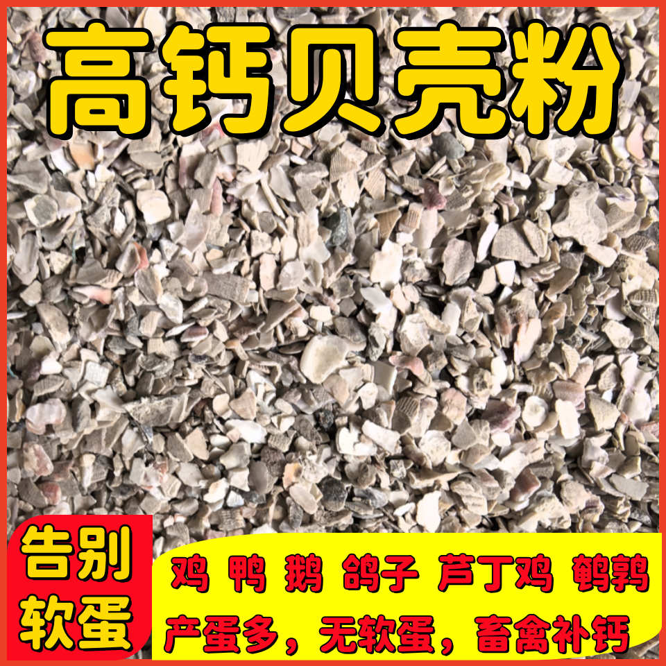 高钙贝壳粉饲料颗粒粉末可喂鸡鸭鹅鸽子鹌鹑鸟类助产蛋预防软蛋等